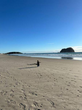 The Mount Beach Surfers batch 3 bedrooms, Mt Maunganui